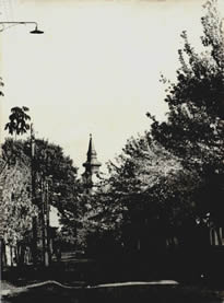 Szigeti János: Németh László Hódmezővásárhelyen